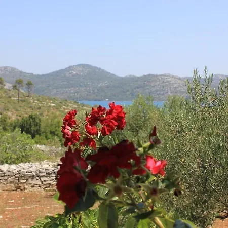 House Nature Park בית נופש *