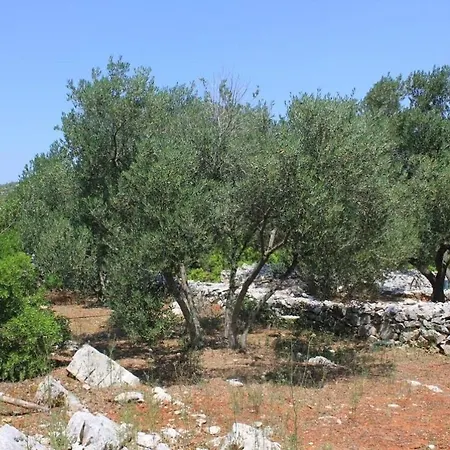 Feriehus House Nature Park