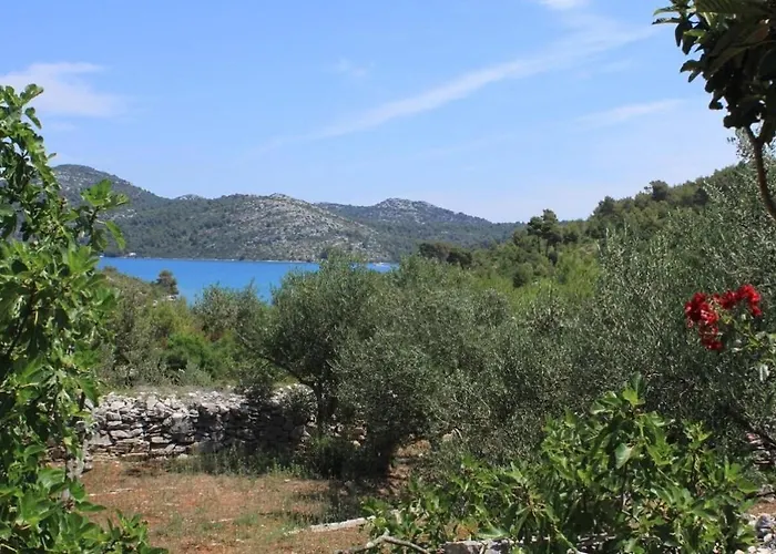 Casa vacanze House Nature Park *