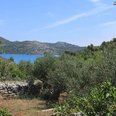 度假居 House Nature Park *