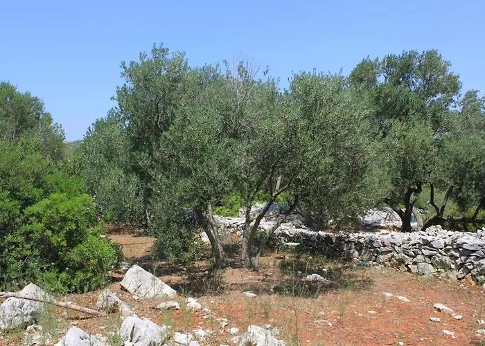 Σπίτι διακοπών House Nature Park