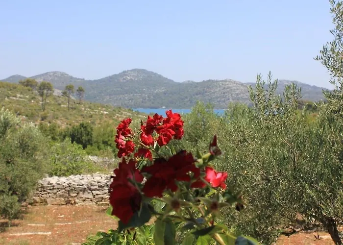 House Nature Park Σπίτι διακοπών *